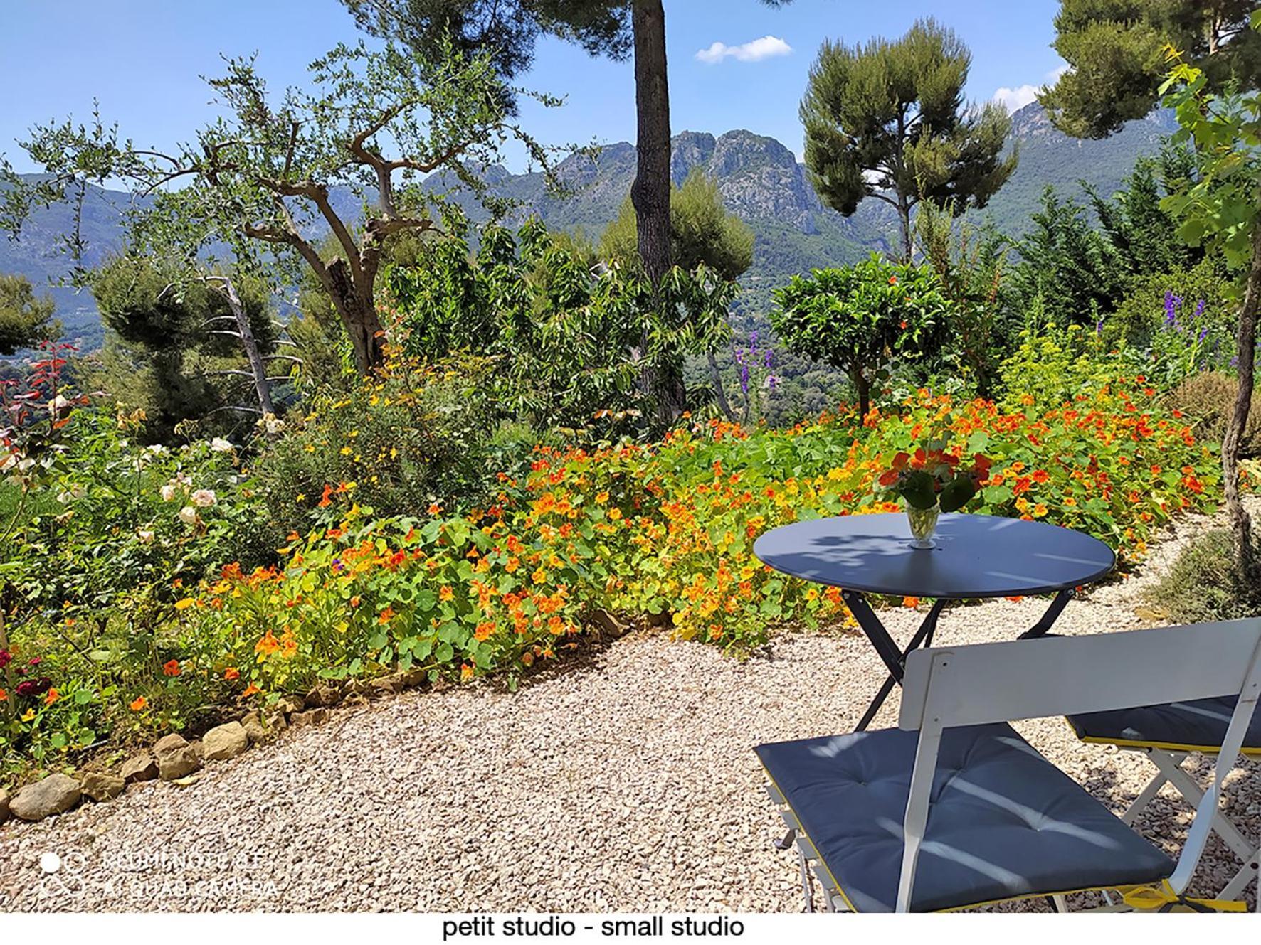 456 Chemin De La Pinede Apartment Menton Exterior photo